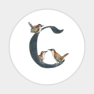 Avian Alphabet C - Rufous-naped wren Magnet